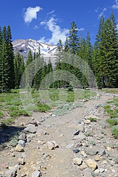 Mount Shasta, a volcano in the Cascade Range, Northern California