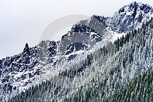 Mount Si Snow Evergreen North Bend Washington