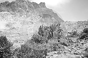 Mount sibayak`s crater in tanah karo, indonesia