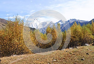 Mount Siguniang in Sichuan, China.