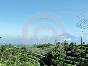 Mount sindoro and mount sumbing