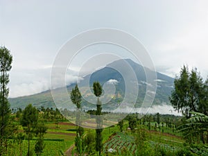 Mount Sindoro Taken from Kledung, Temanggung