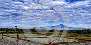 Mount Slamet, Central Java