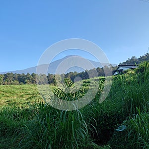 Mount of Slamet in Central Java Indonesia