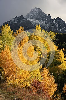 Mount Sneffels Range, Colorado