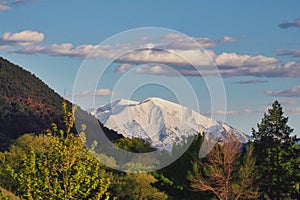 Mount Sopris Near Glenwood Springs photo