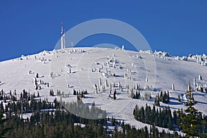 Mount Spokane