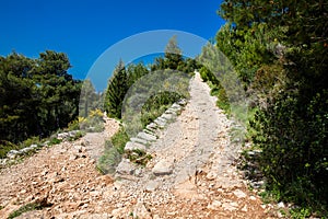 Mount Srd walking trail in a beautiful early spring day