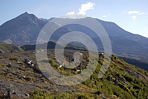 Mount St. Helens Blast Zone