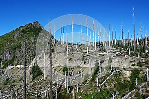 Mount St. Helens, Washington, USA