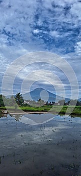 Mount sumbing mirror by the morning  nature