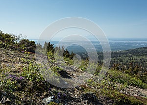 Mount Susitna and Anchorage photo