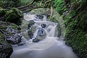 Mount Tamalpais\' Cataract Falls During Overcast Day