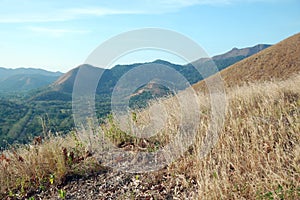 Mount Tapyas mountain, trees, and grass view