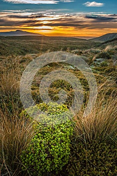 Mount Taranaki at sunset New Zealand perfect volcano mountain