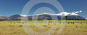 Mount Taylor and Mount Hutt scenery in south New Zealand photo