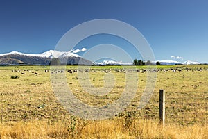 Mount Taylor and Mount Hutt scenery in south New Zealand