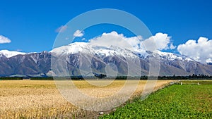 Mount Taylor and Mount Hutt scenery in south New Zealand