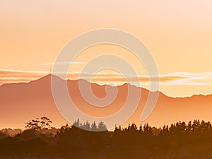 Mount Te Aroha mountain view over forest