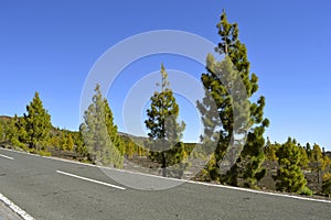 Mount Teide National Park photo