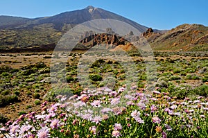 Mount Teide, in Teide National Park, Tenerife photo