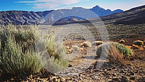 Mount Teide on Tenerife