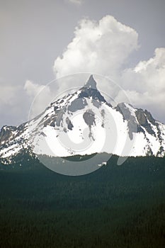 Mount Thielsen Peak and Pine Forest Wilderness