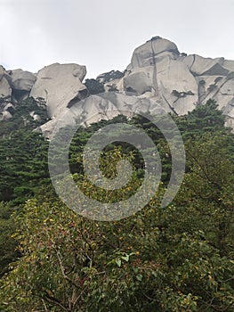Mount tianzhu tone rock pine tree