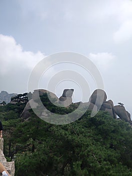 Mount tianzhu tone rock pine tree