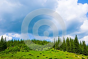 mount top with forest under a dense cloudy sky