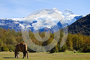 Mount Tronador - Patagonia photo