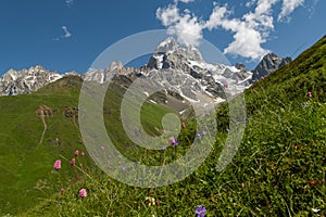 Mount Ushba in the summertime