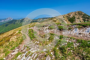 vrch Veľký Kriváň. Farebná jarná horská krajina Malej Fatry, Slovensko