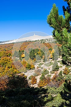 The Mount Ventoux, Vaucluse, France