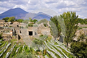 Mount Vesuvius as seen from Scavi di Pompeii, Italy