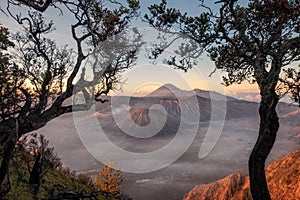 Mount volcano an active with tree frame at sunrise