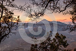 Mount volcano an active with tree frame at sunrise