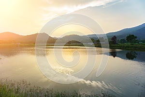 Mount Warning river sugar cane and sun