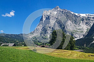 Mount Wetterhorn photo