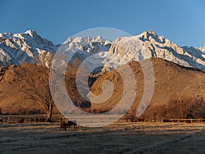 Mount Whitney California photo