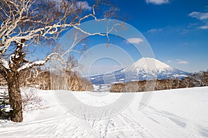 Mount Yotei photo