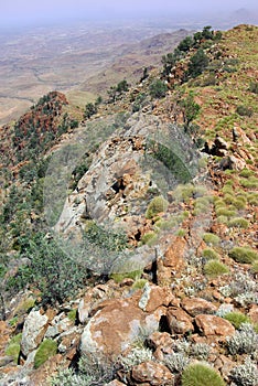 Mount Zeil, Ausralia photo