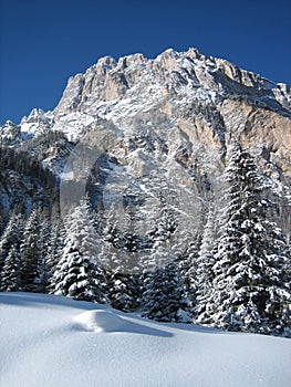 Montagna 