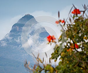 Mountain Adam's Peak