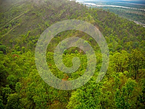 Mountain aerial view with tree all around, Green tree on the mountain photo