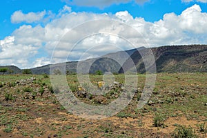 Mountain against an overcast sky, Suswa Conservancy, Rift Valley