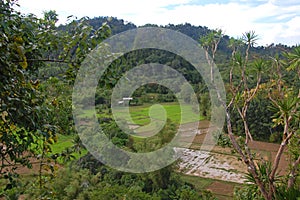 Mountain and agriculture farm in Puerto Princesa, Palawan, Philippines photo