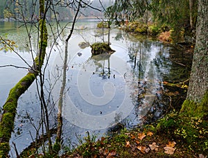 Mountain alpine autumn lake Hintersee, Berchtesgaden national park, Deutschland, Alps, Bavaria, Germany