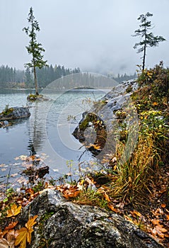 Mountain alpine autumn lake Hintersee, Berchtesgaden national park, Deutschland, Alps, Bavaria, Germany