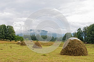 Mountain Altai. Skew hay collected in haystack